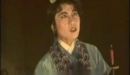 相思树