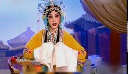评剧《打金枝》宋丽名家名段，经典戏曲在线下载，尽享传统艺术魅力下载