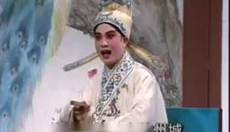 楚剧《访友一折》精彩片段在线观看,经典梁祝剧情深度呈现 楚剧《访友一折》精彩片段在线观看,经典梁祝剧情深度呈现