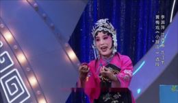 20191115高清黄梅戏《女驸马》全场，黄梅星搭档演绎经典，在线观看下载
