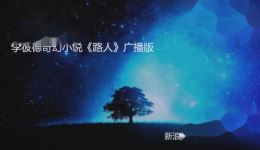 免费收听《路人》李彼得有声小说广播版，奇幻剧情沉浸式体验，畅享精彩有声世界下载