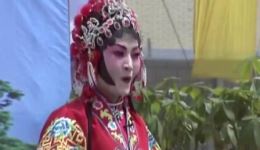 豫剧《抬花轿》张春玲主演，经典喜庆剧目在线下载，传统戏曲精彩呈现
