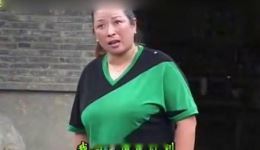民间小调《疯女泪2》高清戏曲资源大全下载，完整剧情免费获取