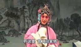 双错遗恨