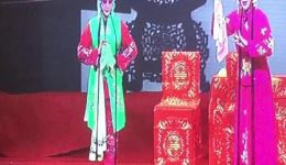 杨南评剧《花为媒》坐楼选场在线下载，经典评剧选段资源下载