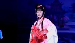 豫剧《泪洒相思地》全场高清下载 - 李金枝经典代表作戏曲资源下载