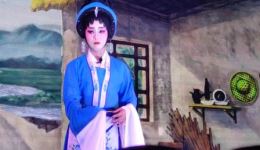 雷剧《婆孙泪》高清mp4视频片段下载，吴小兰邓华贵主演，雷剧经典资源速存下载