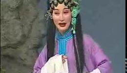 淮剧《宁死做官的爹不死讨饭的娘》高清视频下载 - 陈澄演唱经典淮剧选段