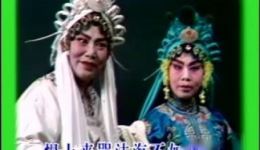 河南豫剧常香玉名家名段精选经典唱段在线欣赏，领略常派艺术独特魅力下载