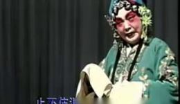 河南豫剧袁秀荣经典唱段下载 名家名段欣赏 豫剧现代戏精选资源下载