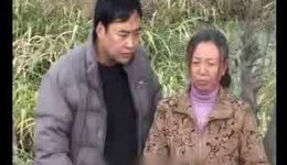 现代淮剧《三个儿子抢妈妈》高清资源下载｜伦理亲情大戏完整呈现