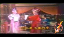 龙凤再生缘