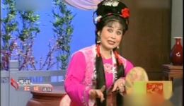 豫剧《红娘》李新花精彩演绎，经典戏曲片段在线观看下载