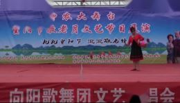 偷杏