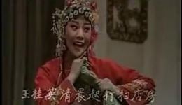 豫剧《孙成打酒》李金枝精彩唱段片段下载 - 经典戏曲资源下载