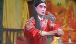 杨家将
