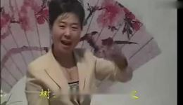 经典河南坠子《后悔药》选段免费试听，胡中花演绎，孝道亲情直击人心