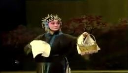 红鬃马 2
