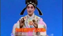 楚剧经典折子戏《庵堂认母》高清下载母子相认催泪剧情，李丽超陈常喜倾情演绎下载