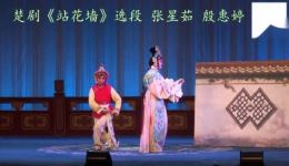 楚剧《站花墙》选段在线观看，张星茹演绎，领略传统戏曲经典魅力下载