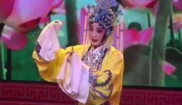 满园春色