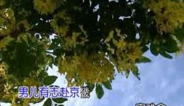 难舍红颜美娇妻