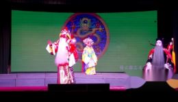 婺剧《新龙凤阁》高清资源下载｜缙云志达婺剧团经典演绎