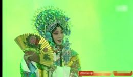 梨花开