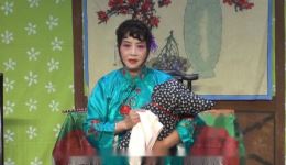 评剧《杨三姐告状》选段下载,曹丽荣演唱高清视频资源,经典戏曲mp4下载 评剧《杨三姐告状》选段下载,曹丽荣演唱高清视频资源,经典戏曲mp4下载