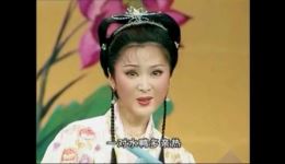 挑女婿