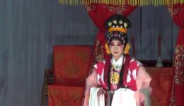 连台收妃