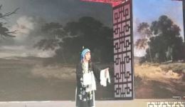 荆州花鼓戏《宫延风云》张凤云主演 戏曲视频mp3资源下载 荆州花鼓戏《宫延风云》张凤云主演 戏曲视频mp3资源下载