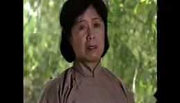 李二嫂后传