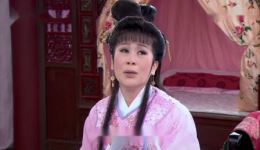 杨丽花歌仔戏《忠孝节义》鸳鸯拆散分两地片段下载，经典唱段资源
