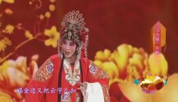 评剧《花为媒》徐雯演唱片段MP3下载，经典戏曲资源在线获取