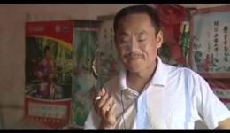 寡妇给村长送礼