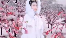 纵马行 嫦娥悔