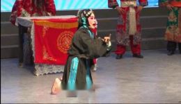 蔡金莲告状