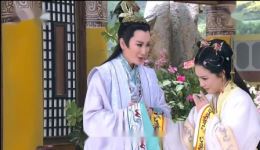 杨丽花歌仔戏《忠孝节义》全集下载-经典传统戏曲资源在线获取