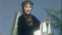 扬剧《武家坡》全剧上集下载_李开敏姜俊峰主演经典戏曲资源下载