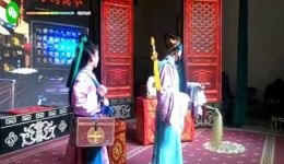 牡丹对药