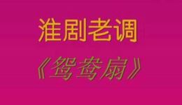 鸳鸯扇