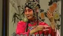 何氏劝姑