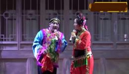 二人台小戏《观花》高清MP4视频下载|经典传统戏曲资源 二人台小戏《观花》高清MP4视频下载|经典传统戏曲资源
