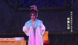 粤剧《猫仙撮良缘》高清版下载｜郭凤女李伟骢朱红星主演，奇幻浪漫人仙情缘下载