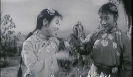 泗州戏经典《拾棉花》高清电影下载，MP4格式，李宝琴等名家主演