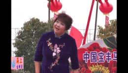 河南坠子《八王私访》全场mp3下载 - 正版戏曲资源一键获取