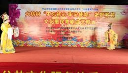 蟾宫证仙缘