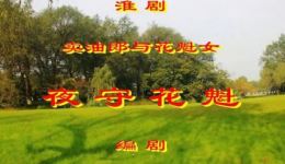 淮剧《夜守花魁》陈德林黄素萍经典演唱 老唱片戏曲mp3资源下载下载