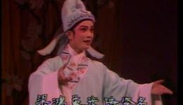 越剧《何文秀》精选片段赵志刚、应国英经典演唱，再现传世佳话下载